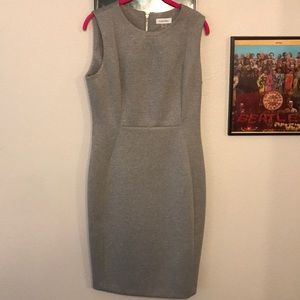 NWOT Calvin Klien Dress
